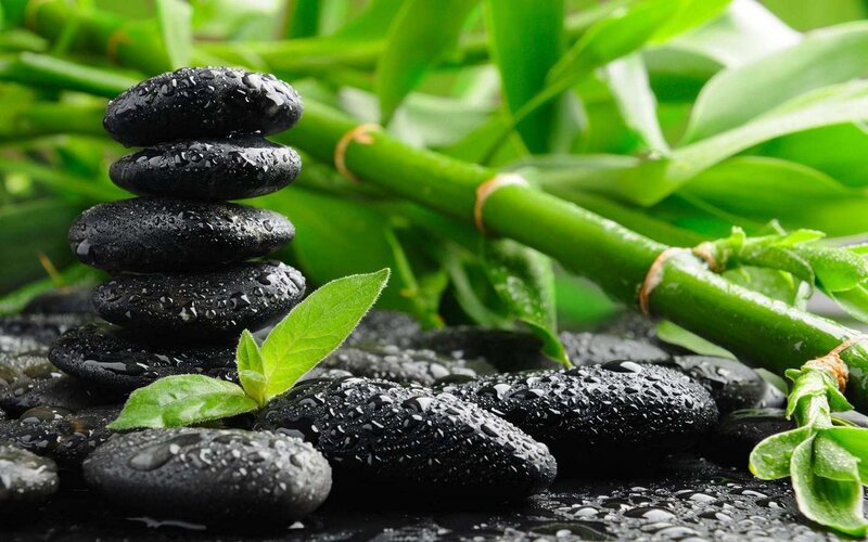 Stacked Black Stones — Serene, Photograph, Bamboo, Leaves, Water Droplets, Green