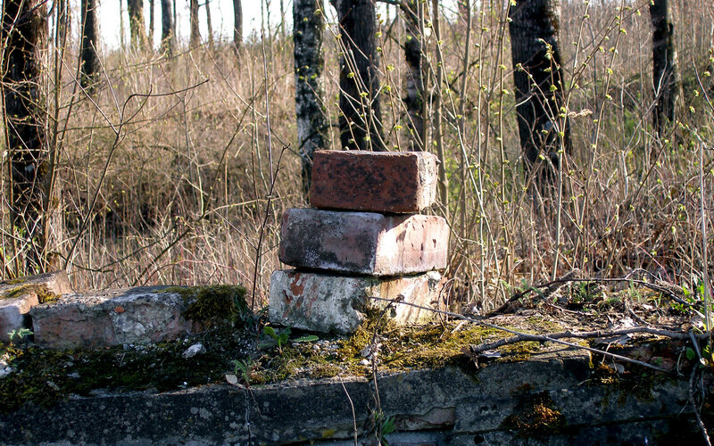 Stacked Bricks in Forest