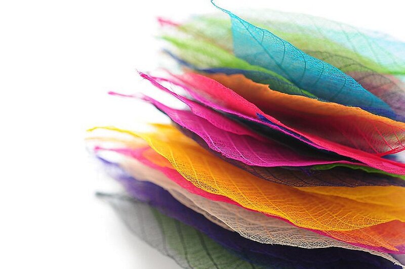 Stacked Colored Leaves