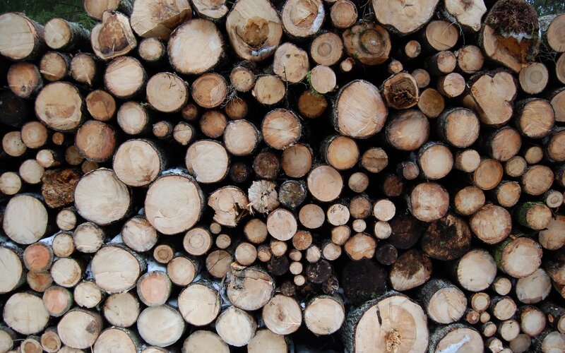 stacked firewood logs
