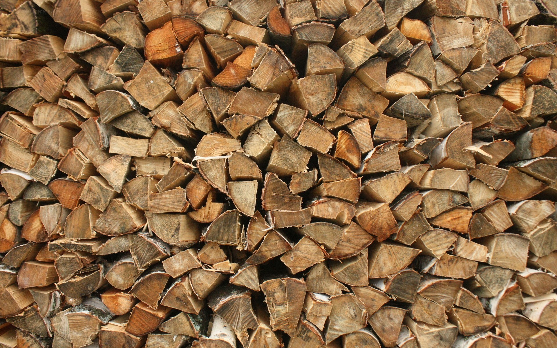 stacked firewood logs