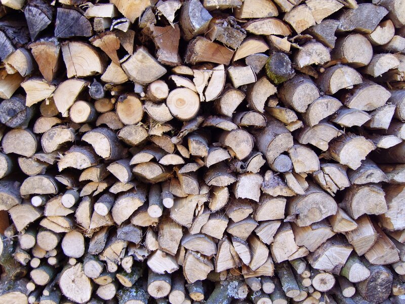 stacked firewood logs