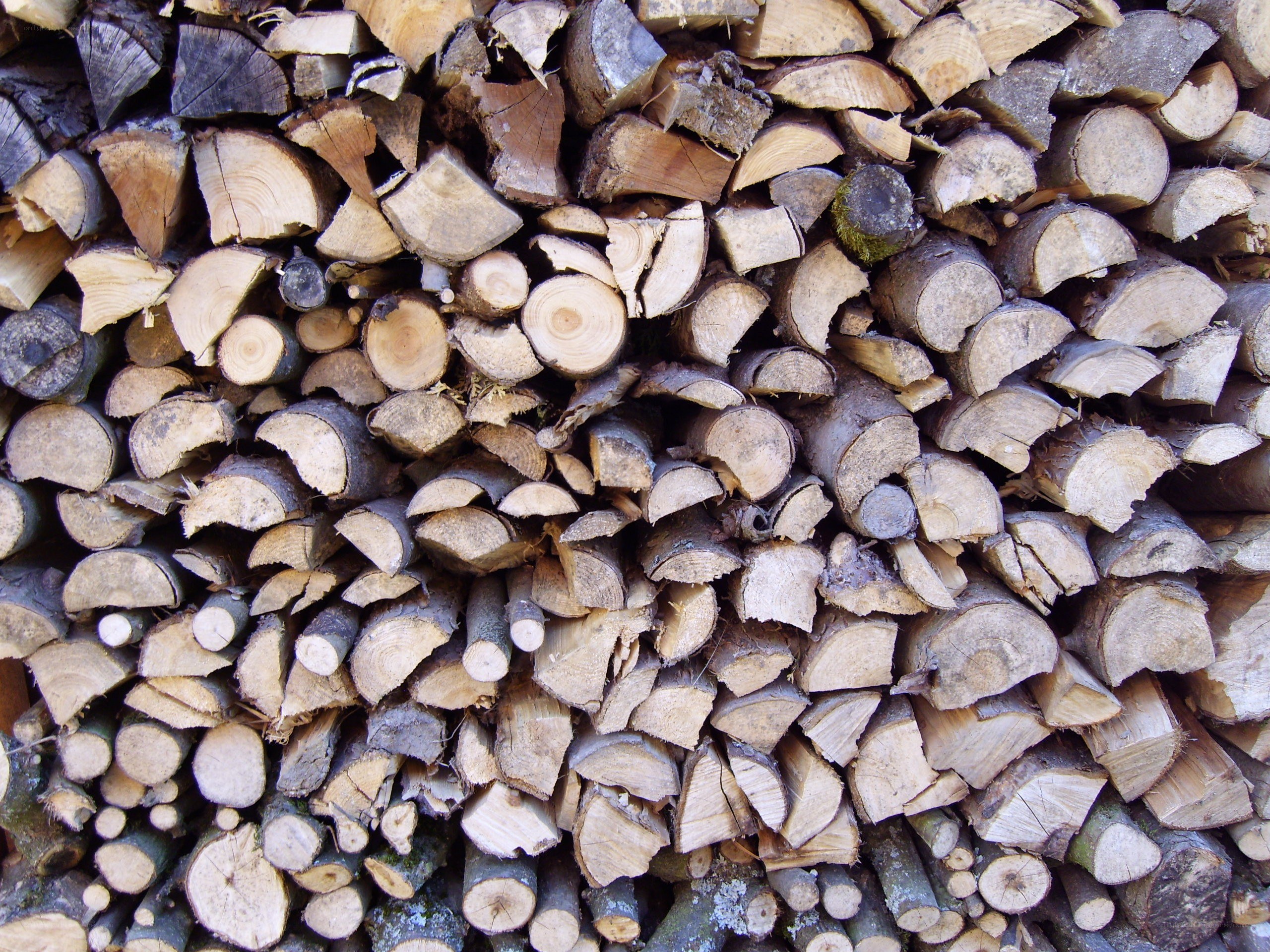 stacked firewood logs