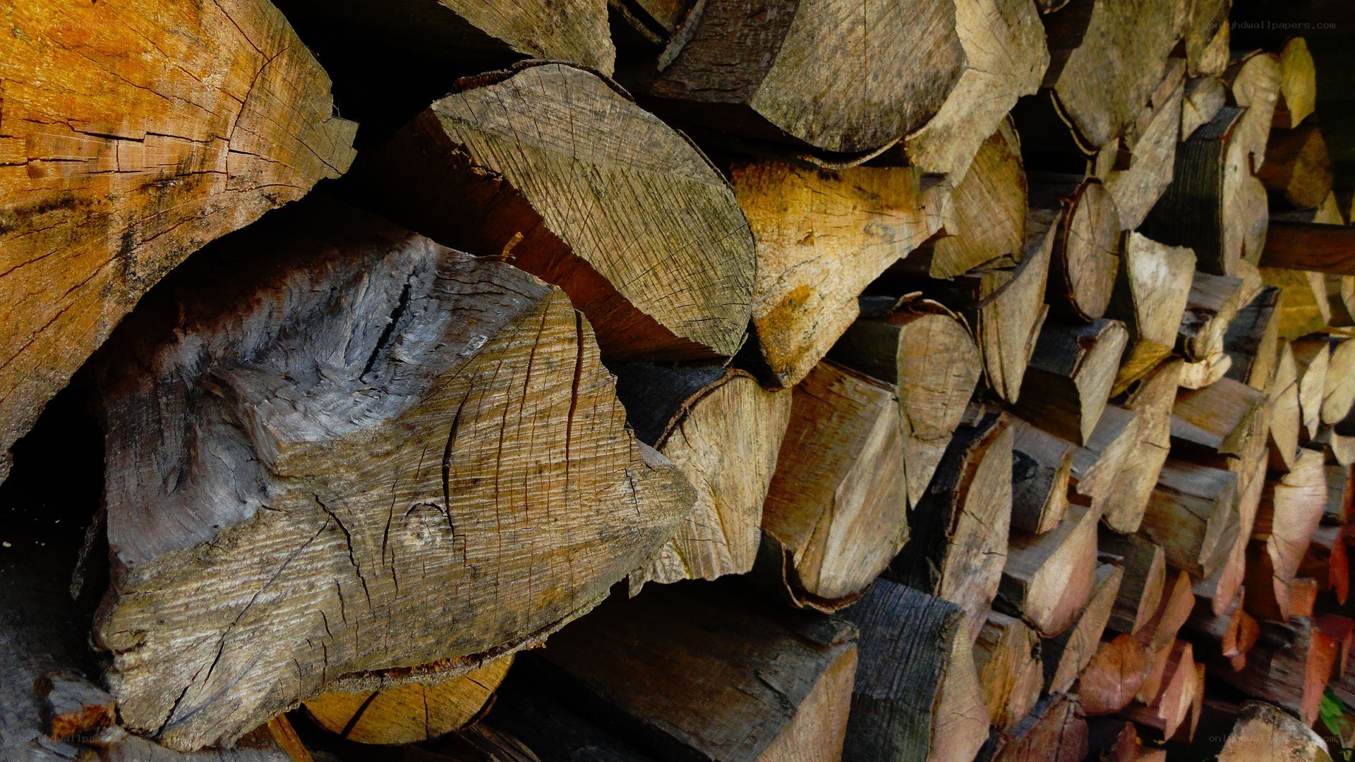 stacked firewood logs