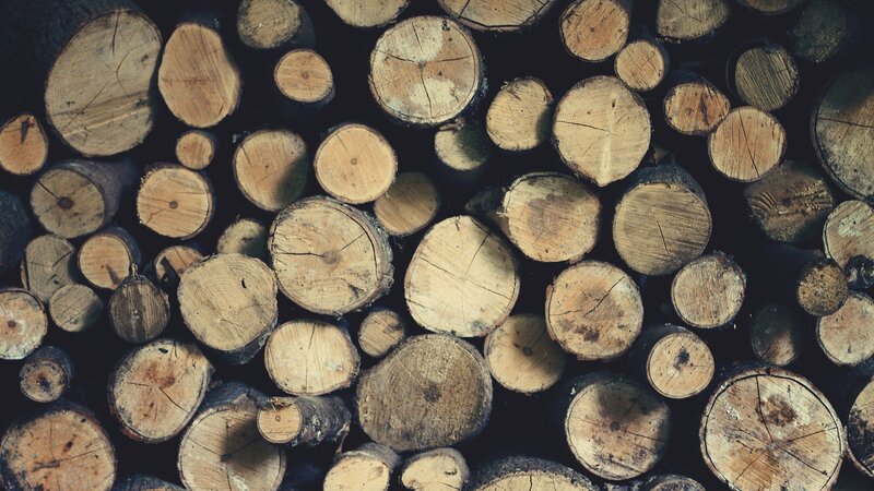stacked firewood logs