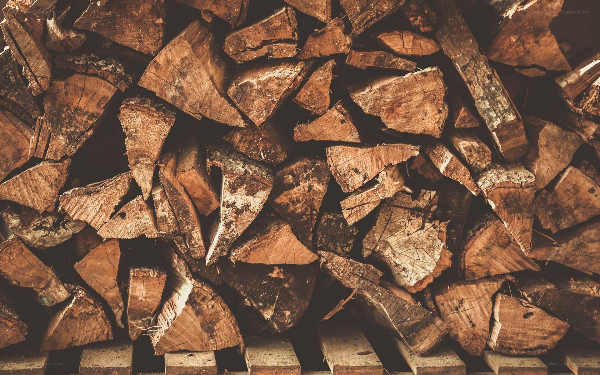stacked firewood logs
