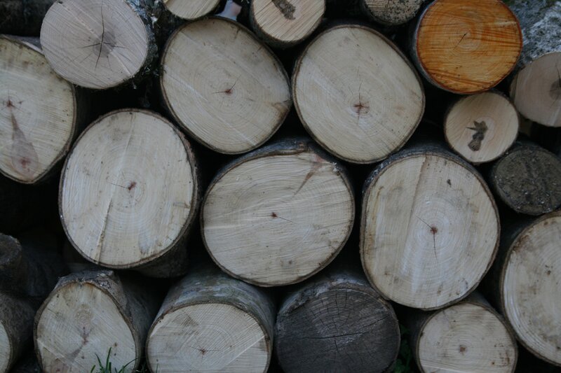 stacked firewood logs