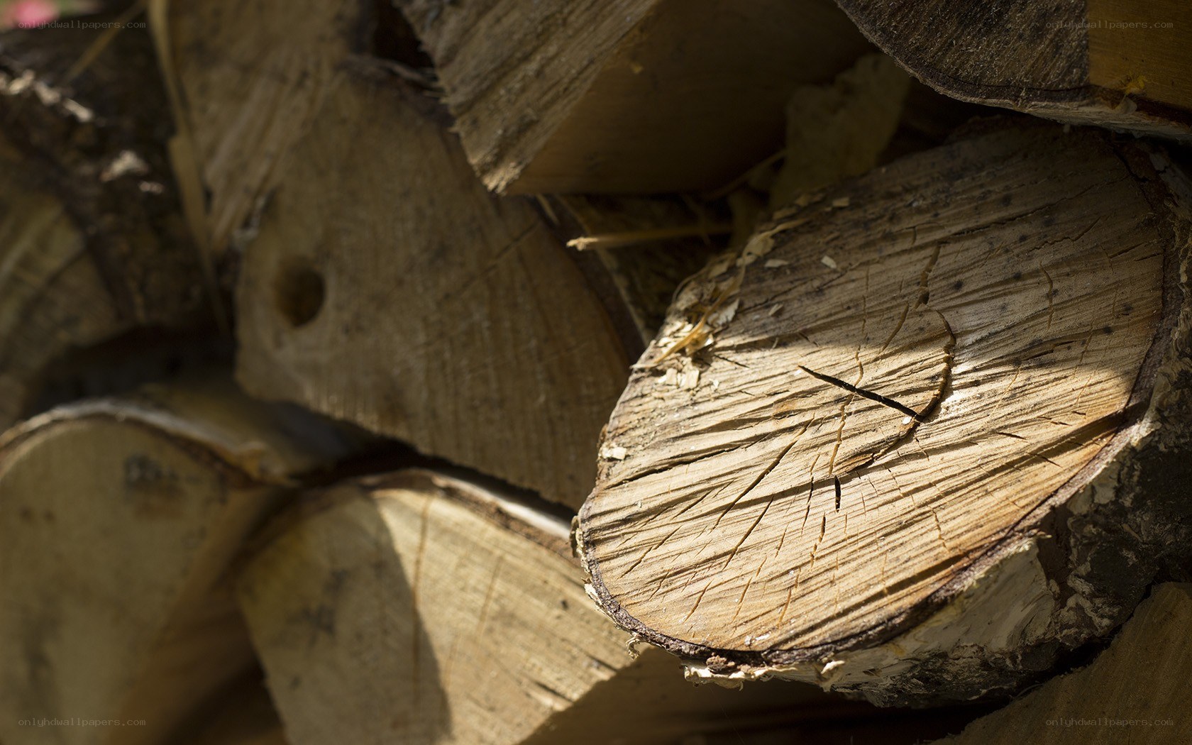 stacked firewood logs