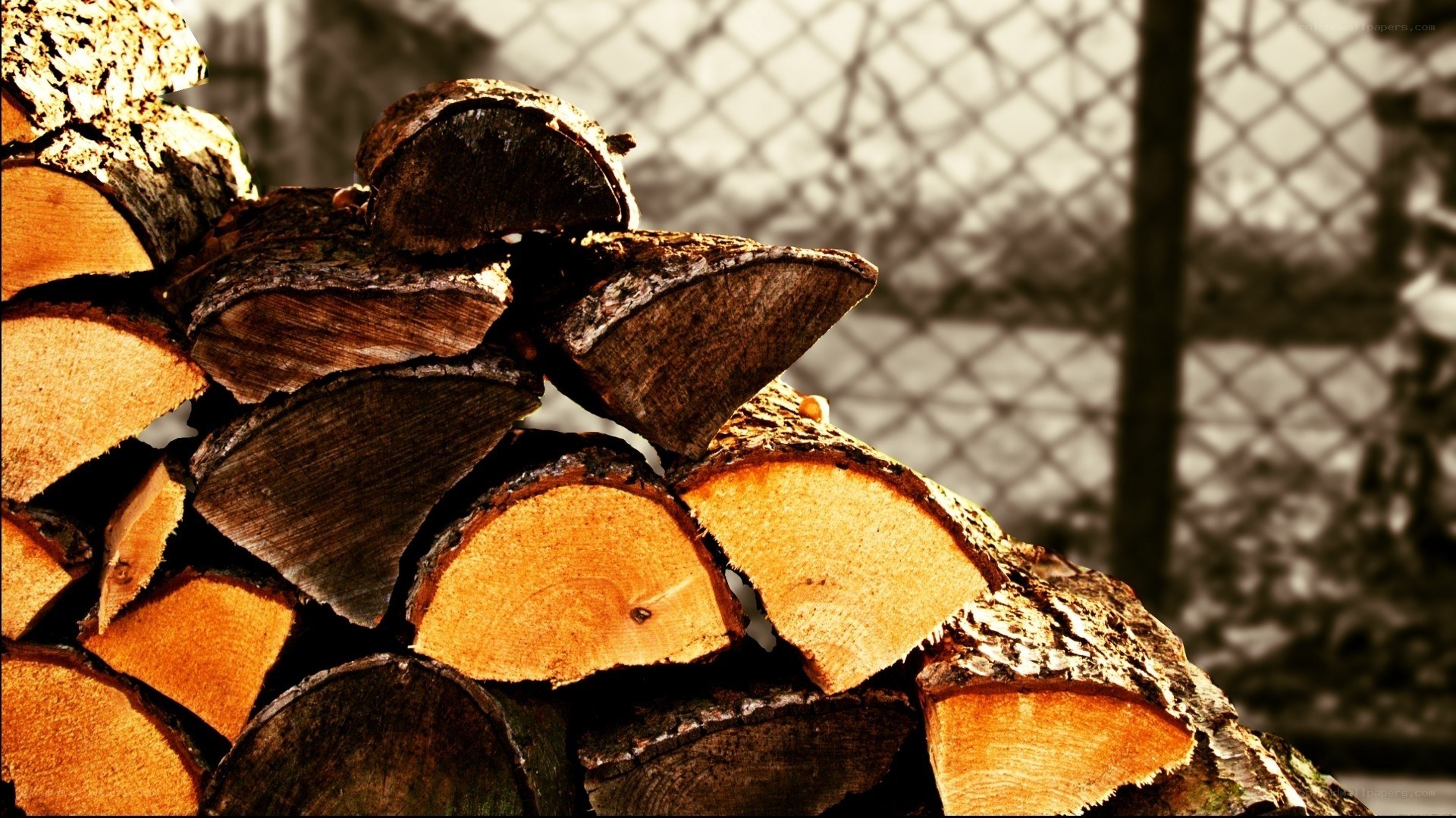 stacked firewood logs