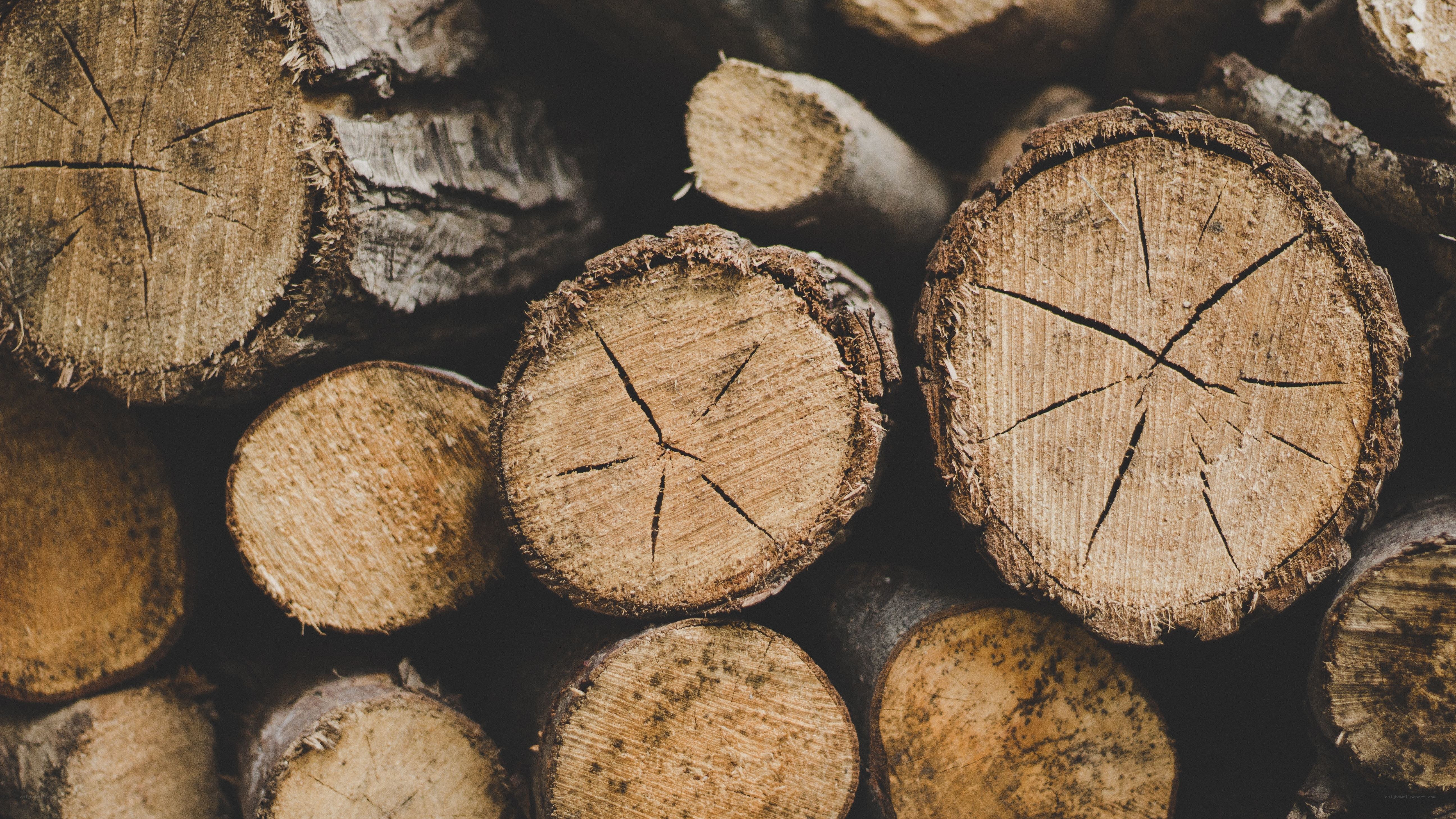 stacked firewood logs