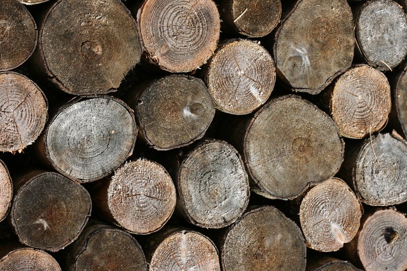 stacked firewood logs
