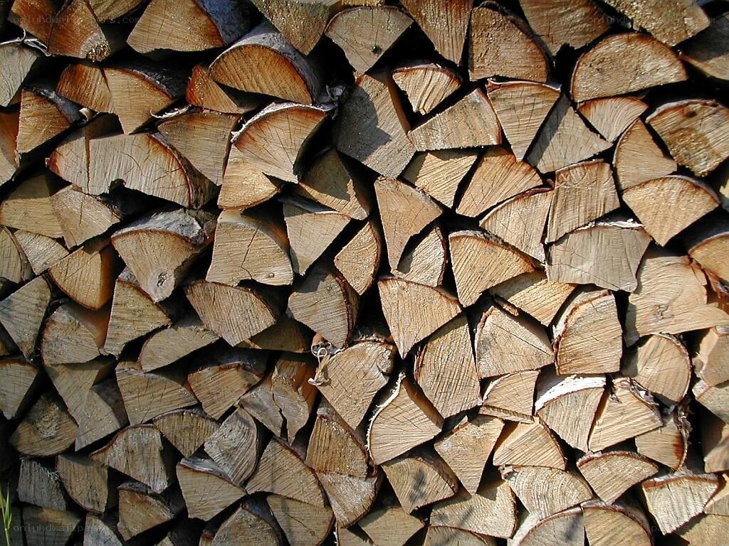 stacked firewood logs