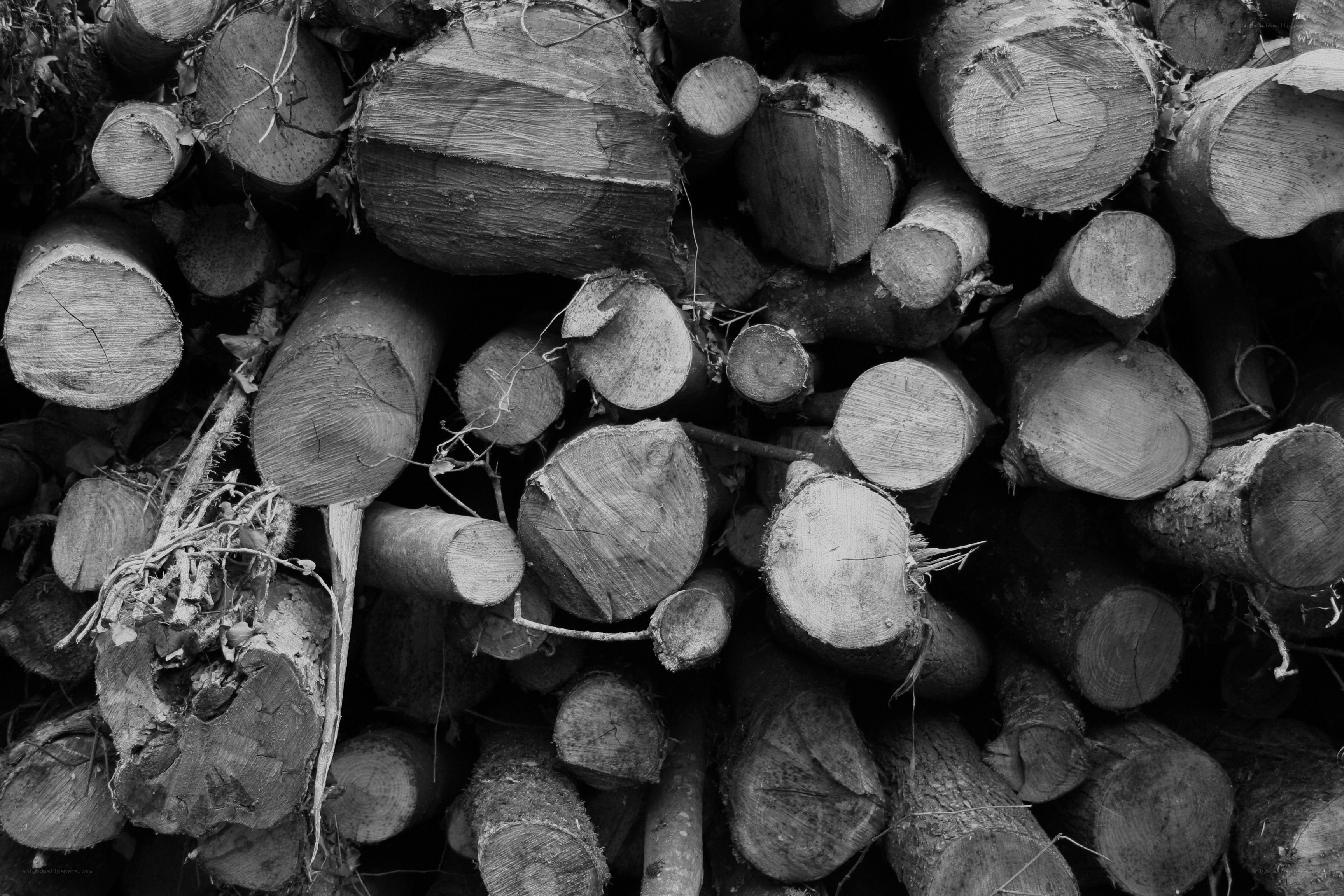 stacked firewood logs