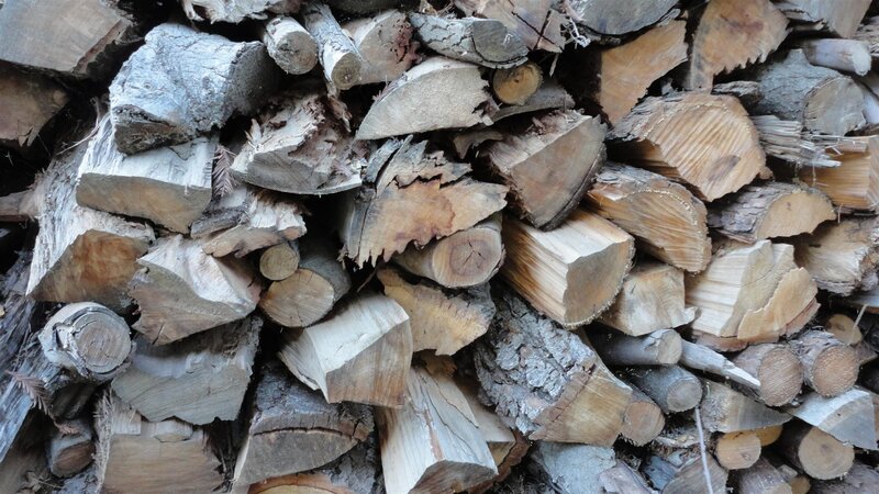 stacked firewood logs