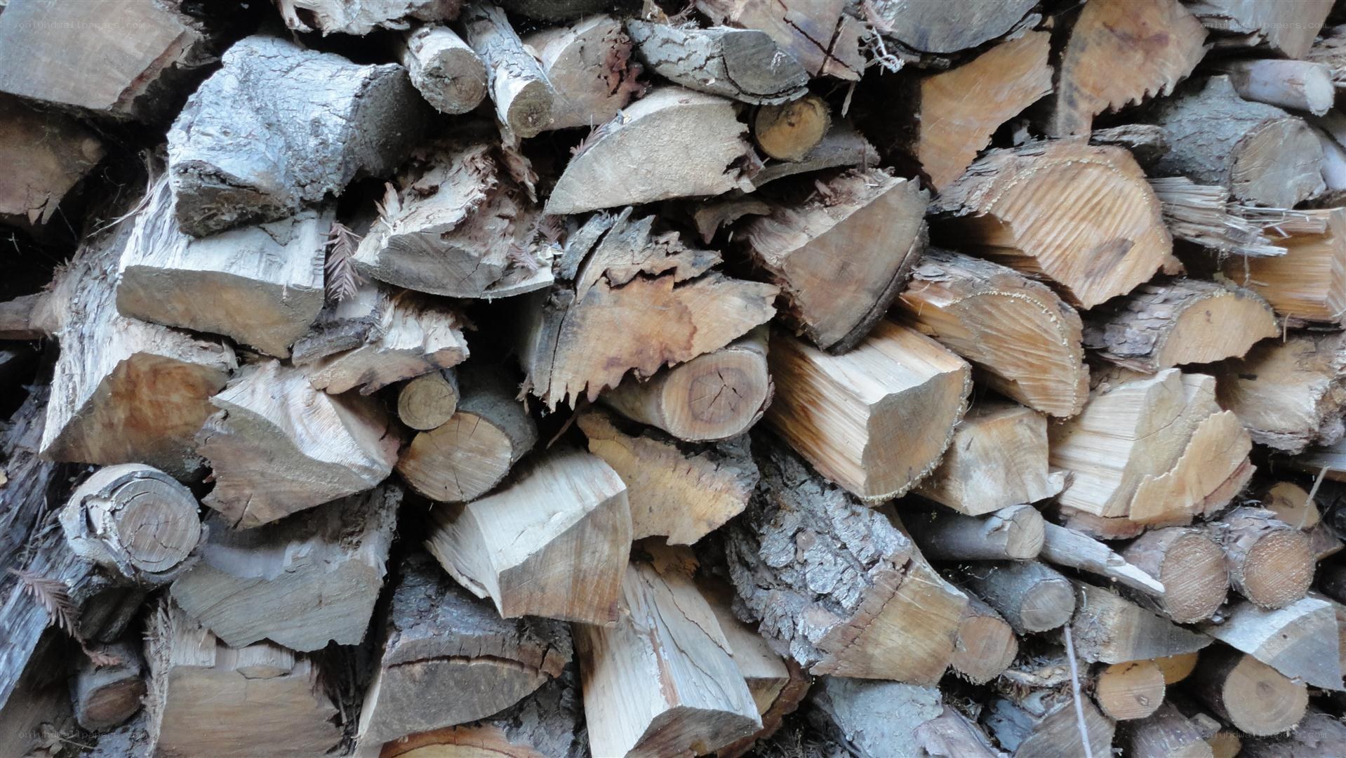 stacked firewood logs