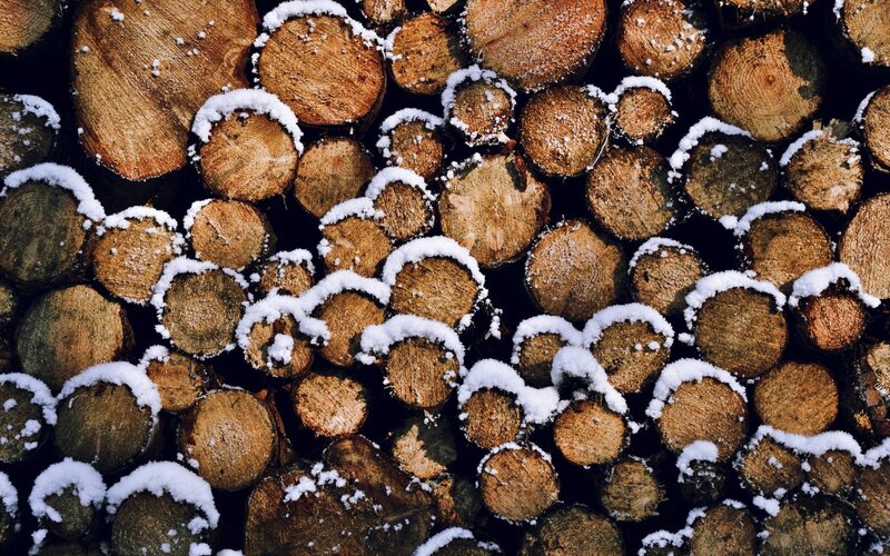 Stacked Firewood Logs — Brown, Calm, Winter