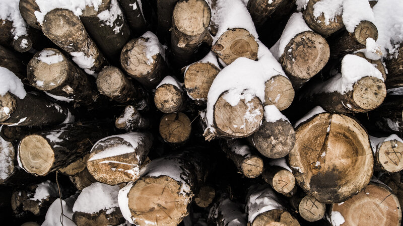 Stacked Firewood Logs — Brown, Cold