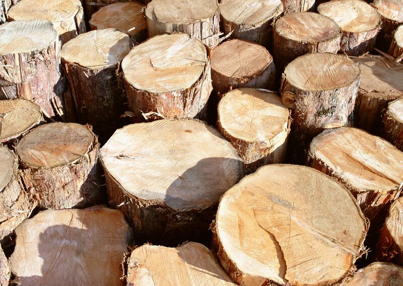 Stacked Firewood Logs — Brown, Natural, Afternoon