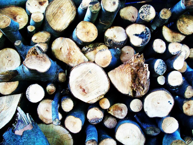Stacked Firewood Logs — Brown, Natural, Photograph, Saw Cuts, Bark, Blue