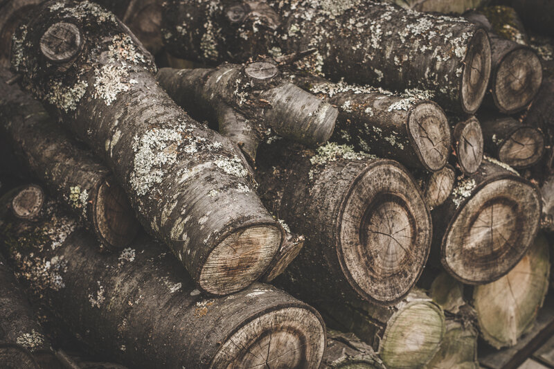 Stacked Firewood Logs — Brown, Natural, Photograph