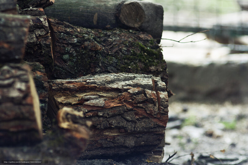 Stacked Firewood Logs — Brown, Natural