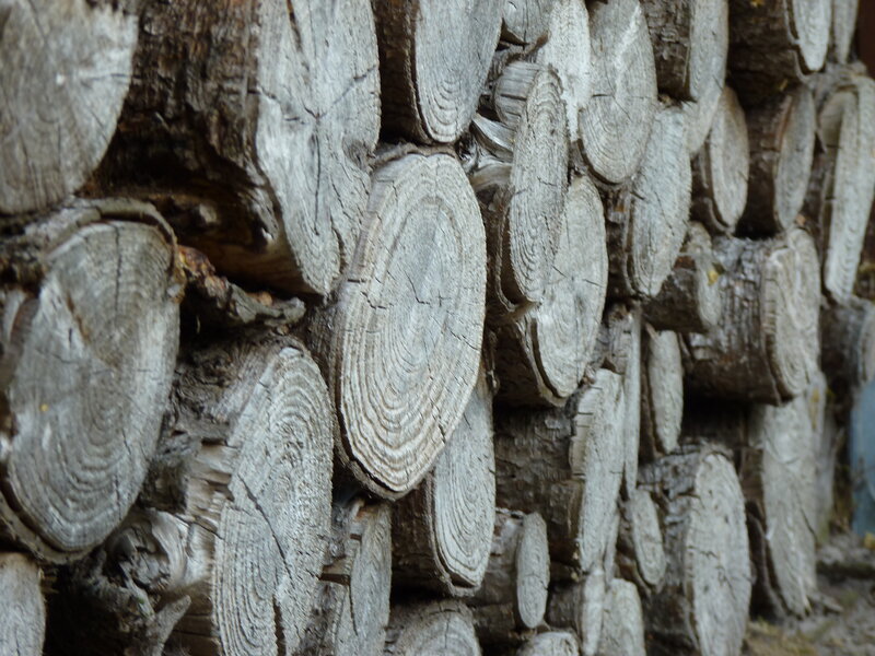 Stacked Firewood Logs — Gray