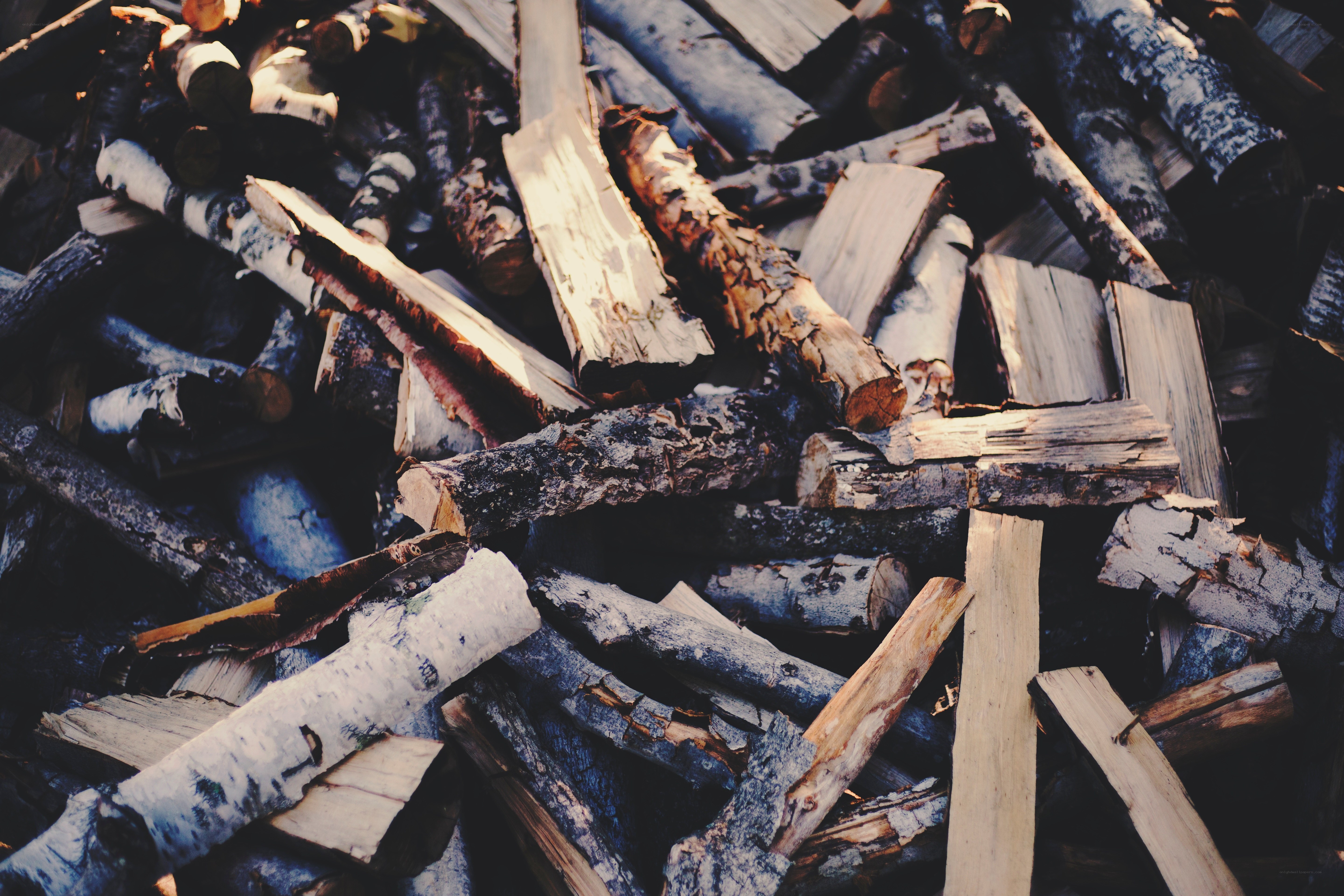 stacked firewood pile