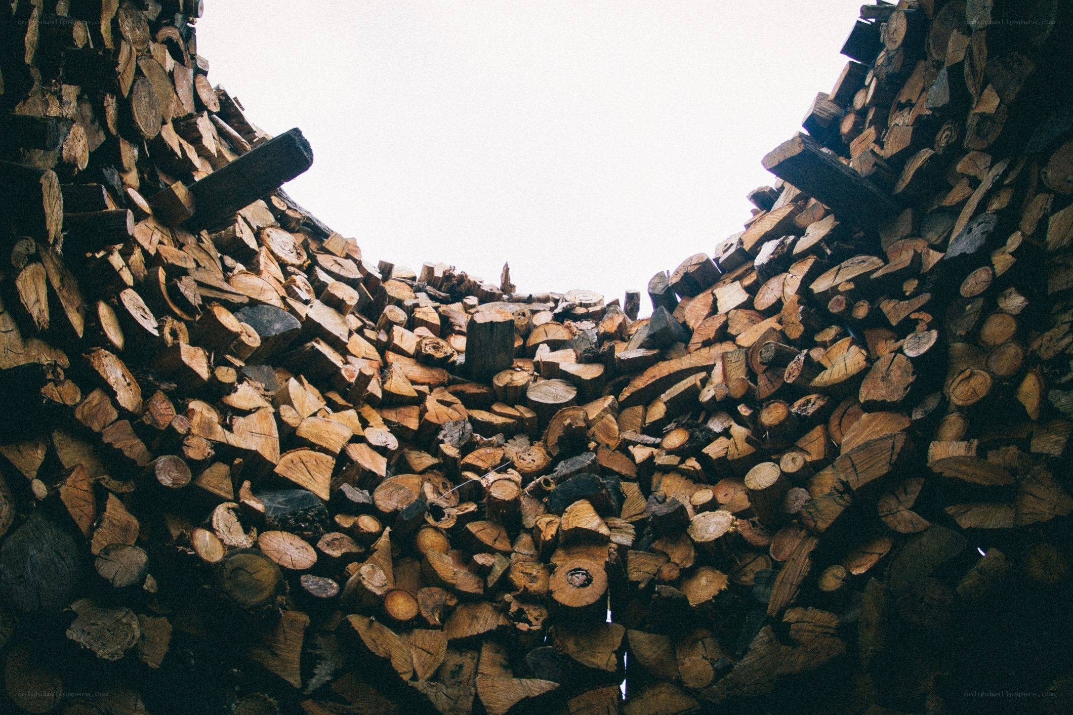 stacked firewood view