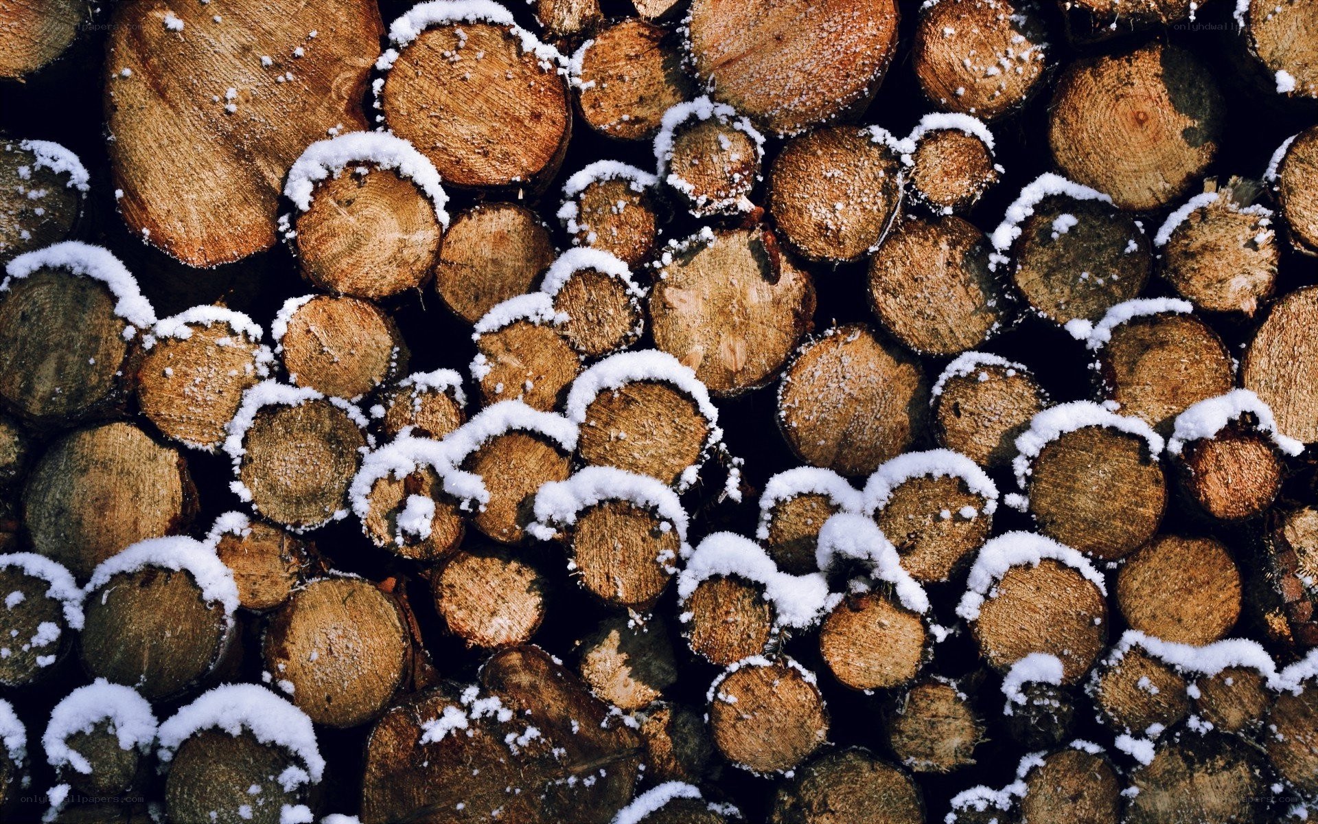 stacked firewood with snow