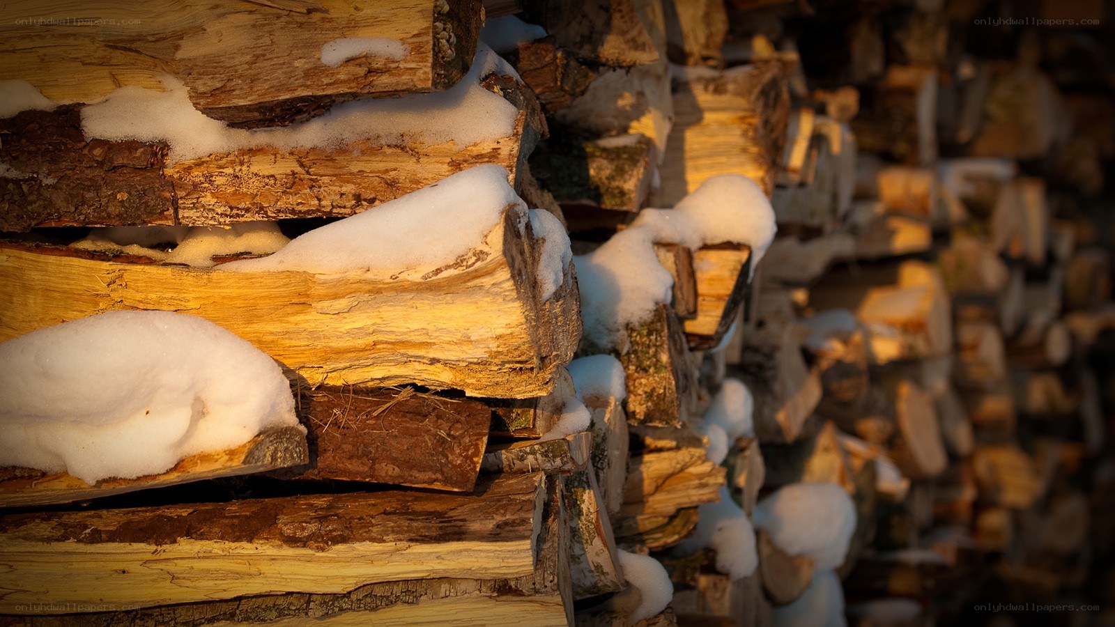 stacked firewood with snow