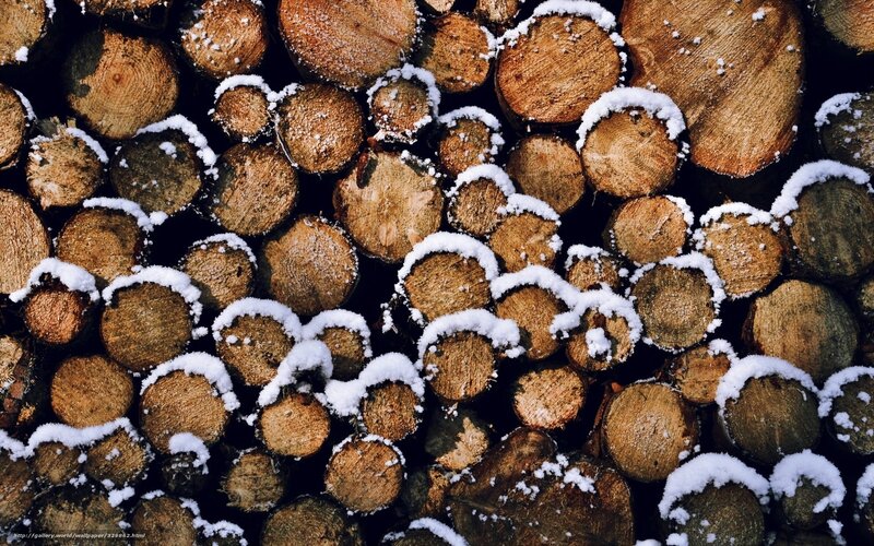 stacked firewood with snow