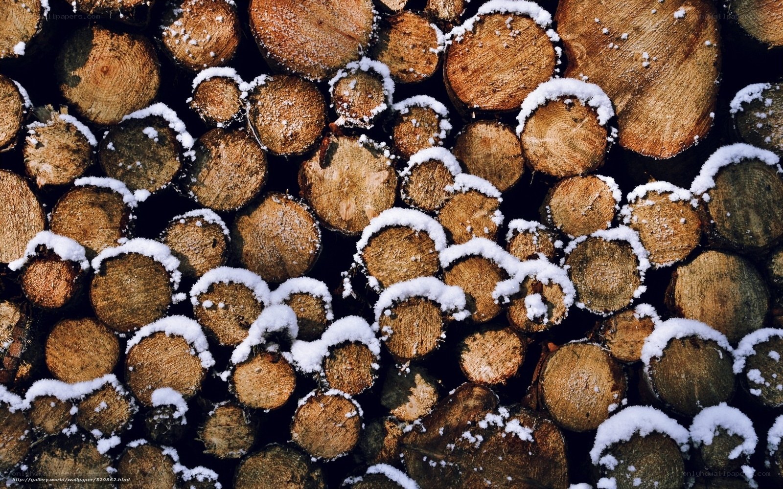 stacked firewood with snow
