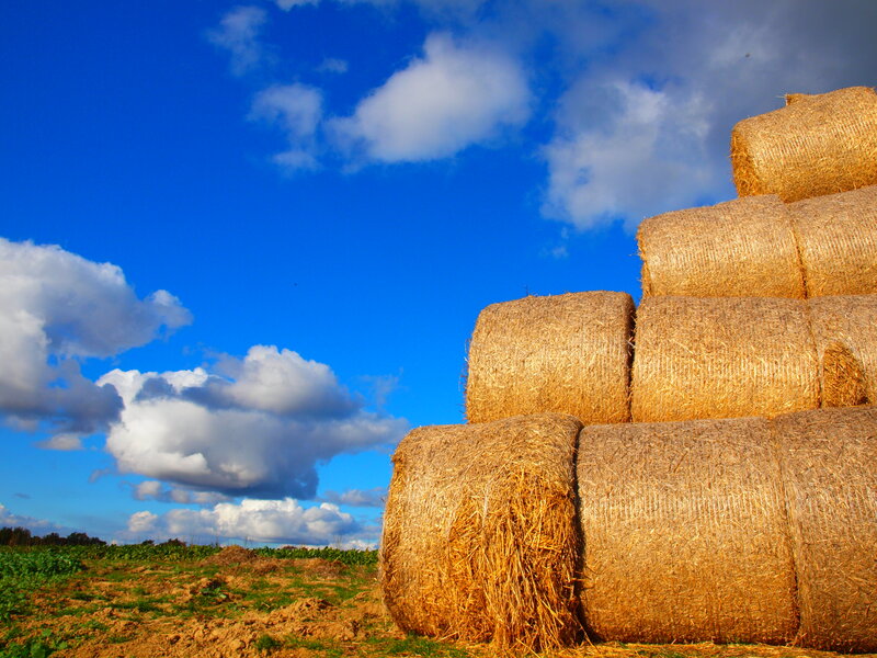 Stacked Hay Bales — Blue