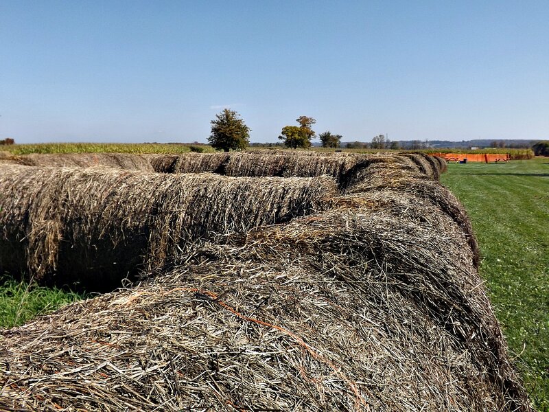 Stacked Hay Bales — Brown