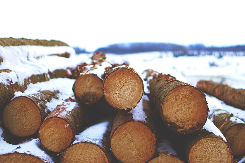 Stacked Logs in Snow — Brown