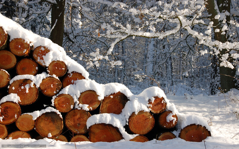 Stacked Logs in Snow — White, Serene