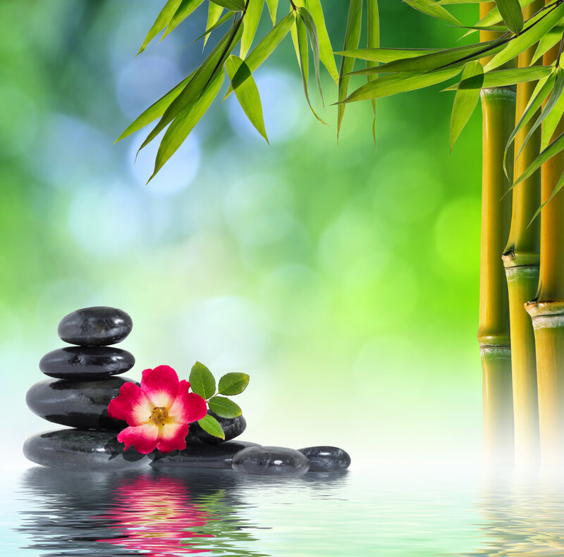 Stacked Stones with Flower