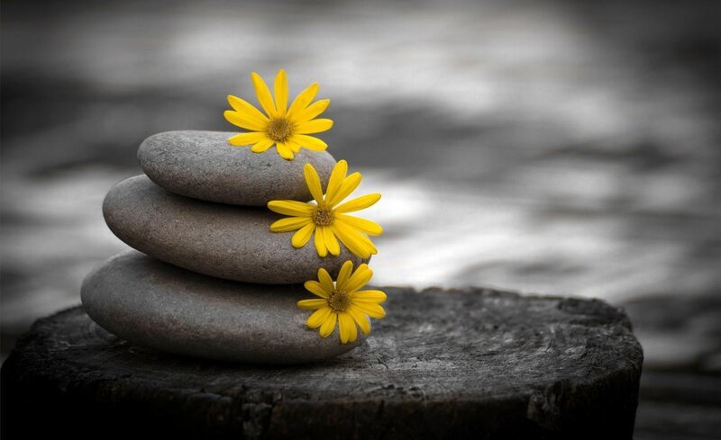 Stacked Stones with Flowers