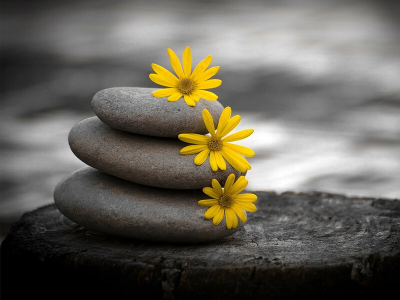 Stacked Stones with Flowers — Yellow, Serene, Photograph