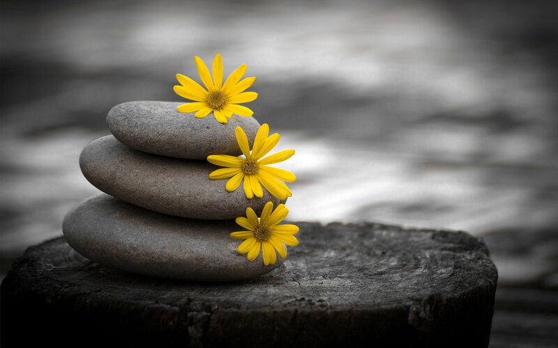 Stacked Stones with Flowers — Yellow, Serene, Photograph, Wooden Stump