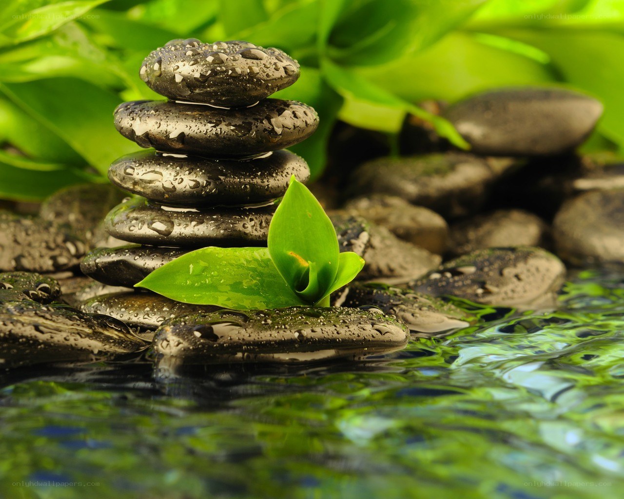 Stacked stones with green leaf