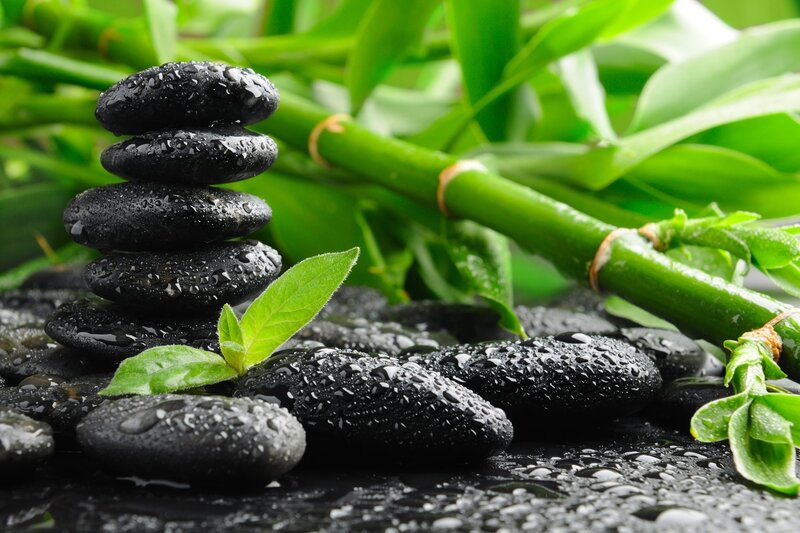 Stacked stones with green plants