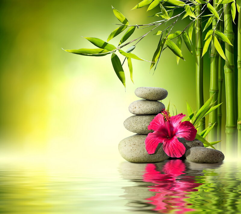 Stacked Stones with Hibiscus