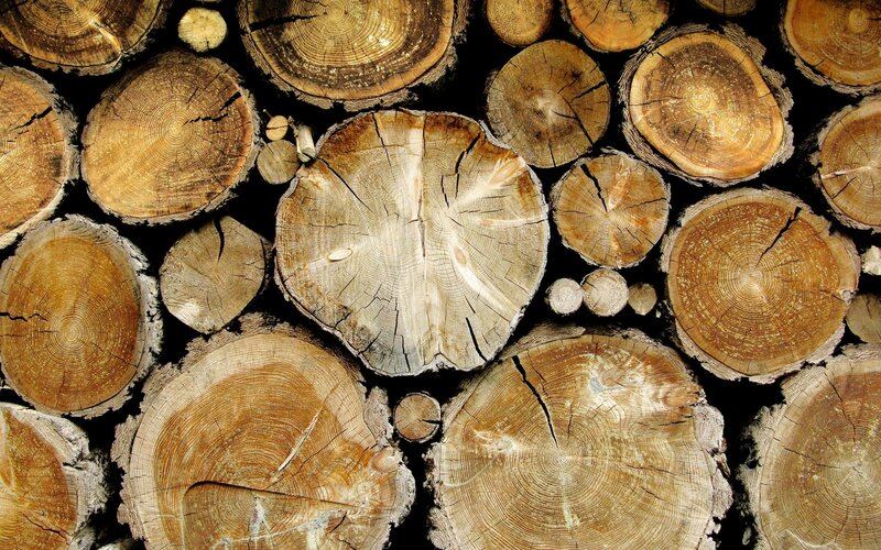 Stacked Tree Logs — Brown, Natural, Photograph