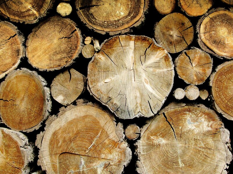 Stacked Tree Logs — Brown, Natural, Photograph, Wood, Rings, Cracks