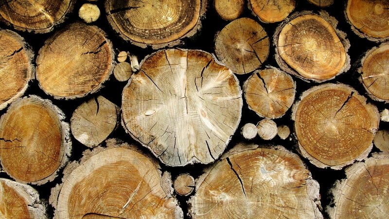 Stacked Tree Logs — Brown, Natural