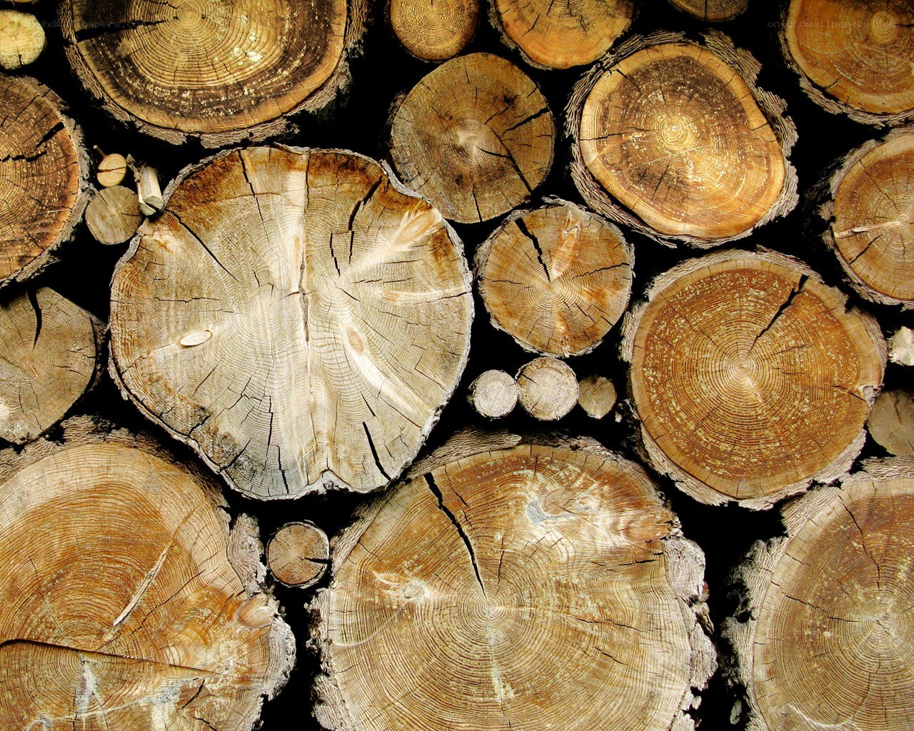stacked wooden logs