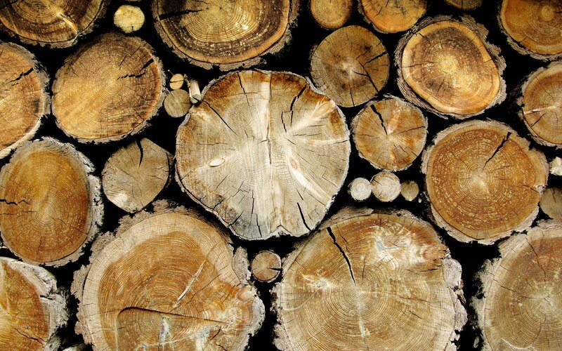 stacked wooden logs