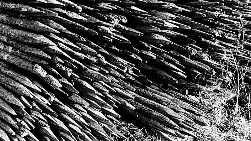 Stacked Wooden Poles