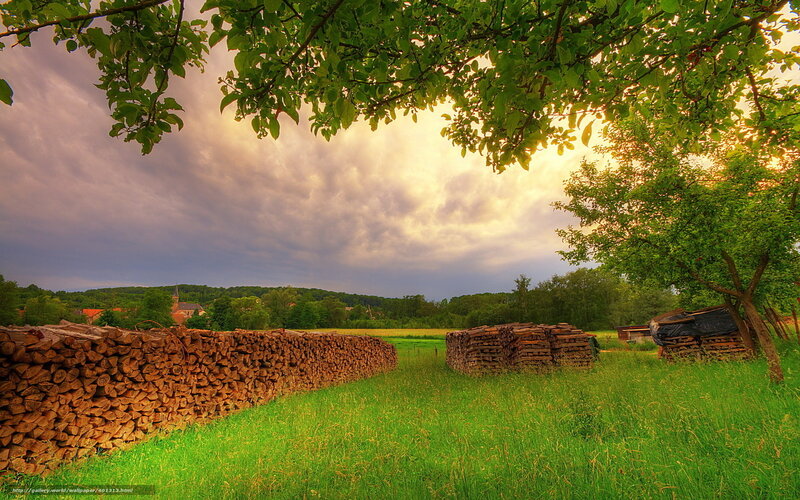 Stacks of Firewood in Field — Green, Dramatic, Sunset
